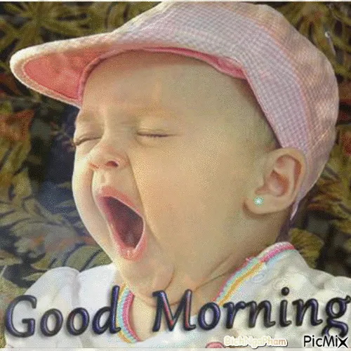 Meme hài chào ngày mới lan vibe tươi sáng khắp TikTok