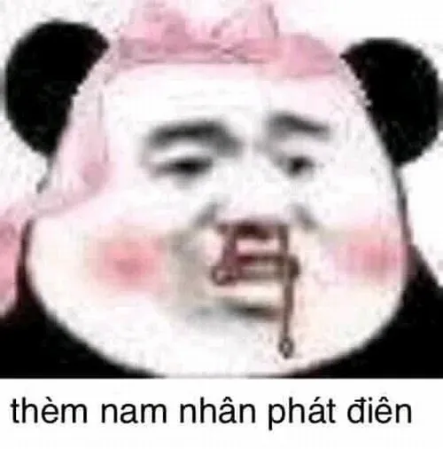 Hình troll gấu trúc chảy máu mũi thèm nam nhân