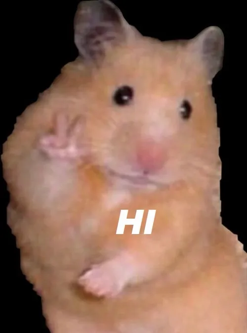 Ảnh chế hello nhìn đáng yêu không chịu nổi