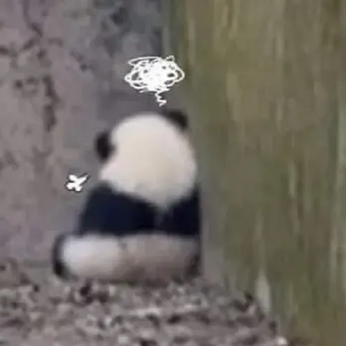 Ảnh troll giận nhẹ nhìn phát biết mood