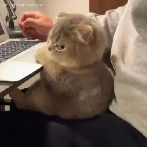 Meme quay lưng giả vờ dỗi mà vẫn mỉm cười