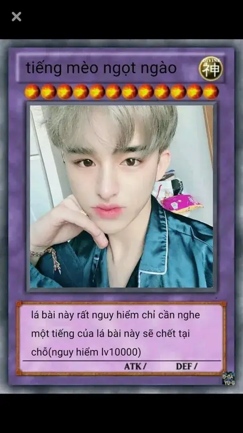 Hình troll lá bài tiếng mèo ngọt ngào khiến ai share