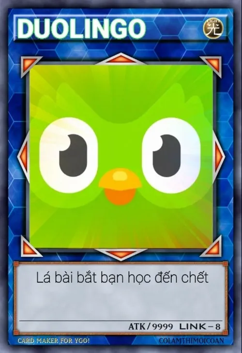Ảnh chế thẻ bài con cú Duolingo