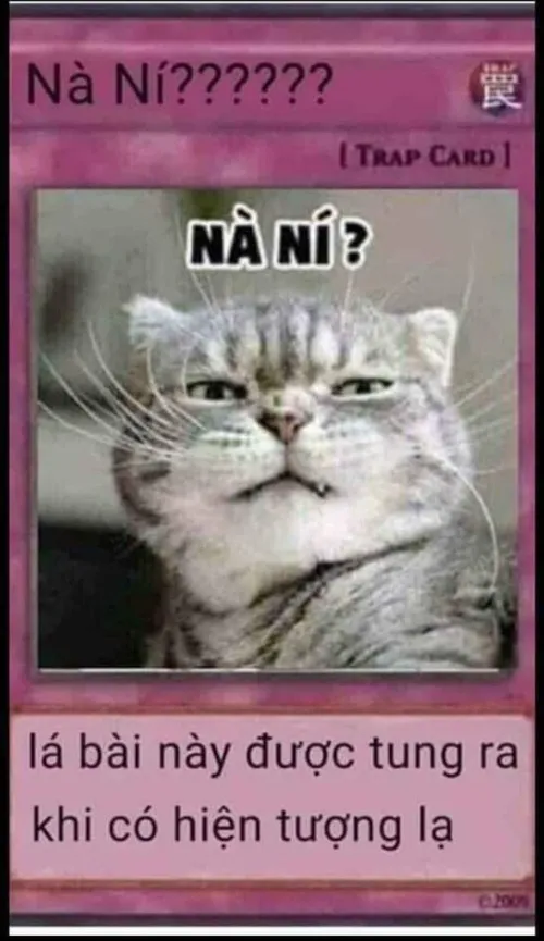 Ảnh troll thẻ bài Nà ní
