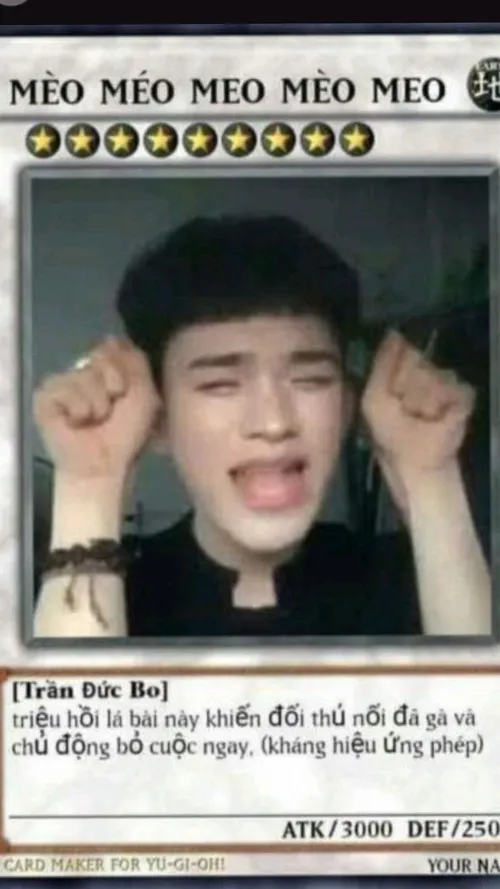 Ảnh troll thẻ bài Mèo méo meo mèo meo