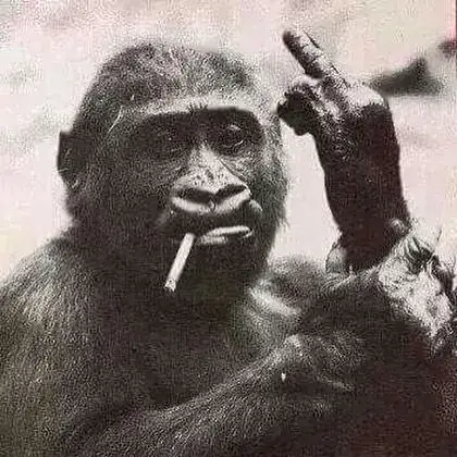 Meme chế khỉ kéo khói kiểu căng thẳng