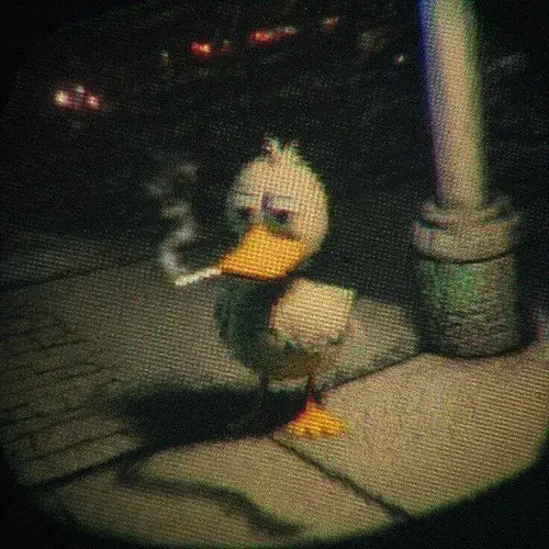 Hình chế vịt con kẹp điếu thuốc ánh mắt troll