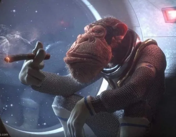 Meme hài khỉ châm thuốc đầy phong trần