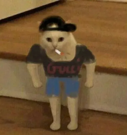 Hình chế mèo nhả khói nhìn phê cực