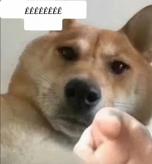9 Meme gọi bạn kiểu ê mày coi nè cực vui