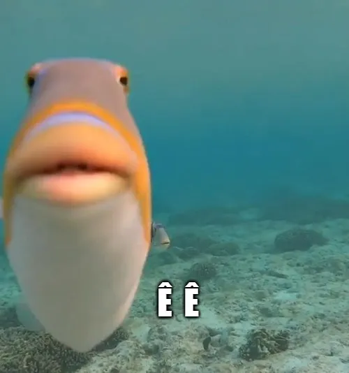 5 Meme chữ ê: ngắn mà chất, ai cũng dùng