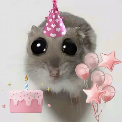 Meme chúc mừng sinh nhật hoa hồng, tim bay rợp trời