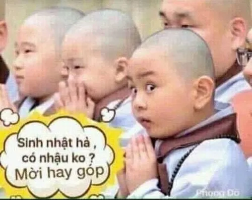 Meme chúc mừng sinh nhật mèo hát “happy birthday”