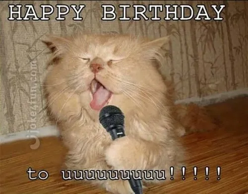 Ảnh meme sinh nhật hoa hồng kèm lời tặng lầy