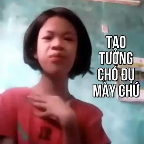 Ảnh vui chửi nhau kiểu bà tám mạng xã hội