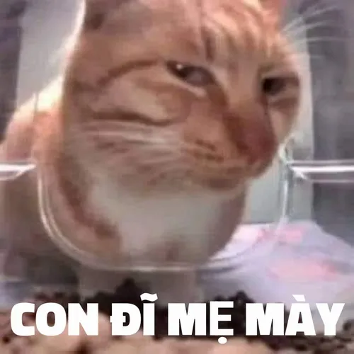 Meme chửi thề nhẹ nhàng kiểu dân công sở