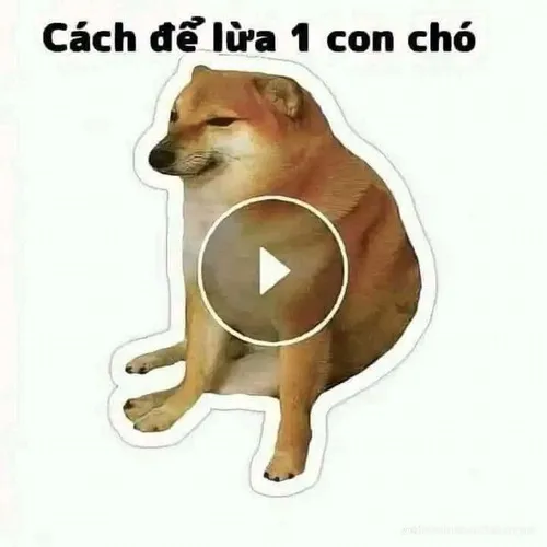 Ảnh troll chửi tục mà mặt vẫn cười tỉnh bơ