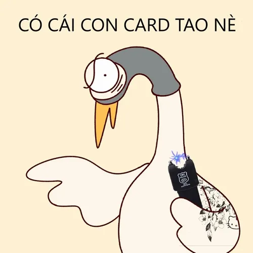 Top 35 Meme Cái Con Cak hài hước được giới trẻ sử dụng nhiều nhất trên mạng xã hội