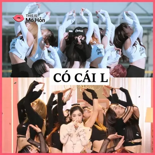 Meme có cái l cực gắt nhưng vui phết