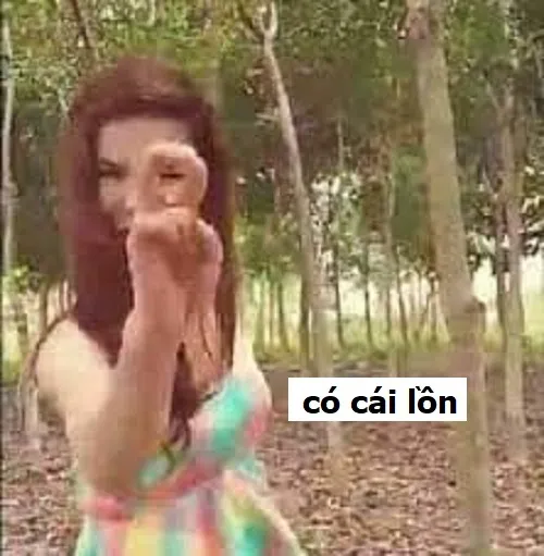 Meme có cái loz cực hợp mấy pha troll bạn