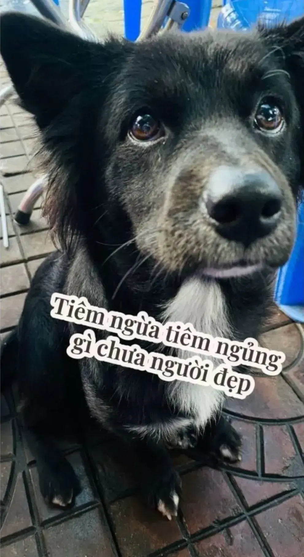 Tiêm ngừa chưa người đẹp?