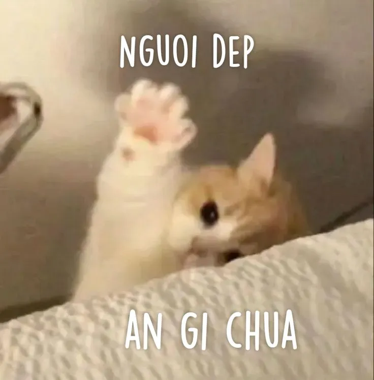 Ảnh chế ăn cơm chưa nghe mà cưng
