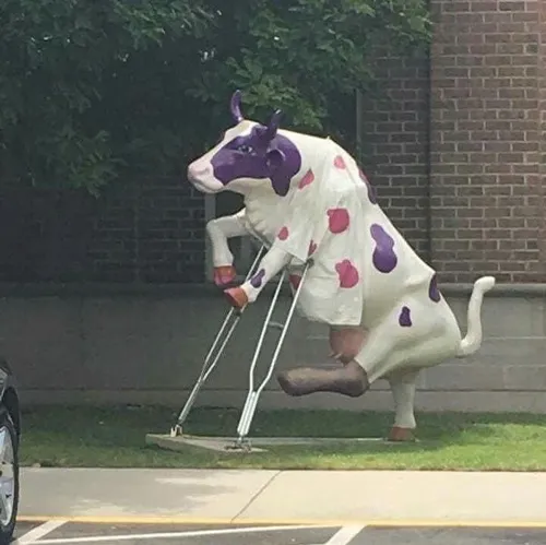 Ảnh chế bò hoạt hình 3D cực dễ thương