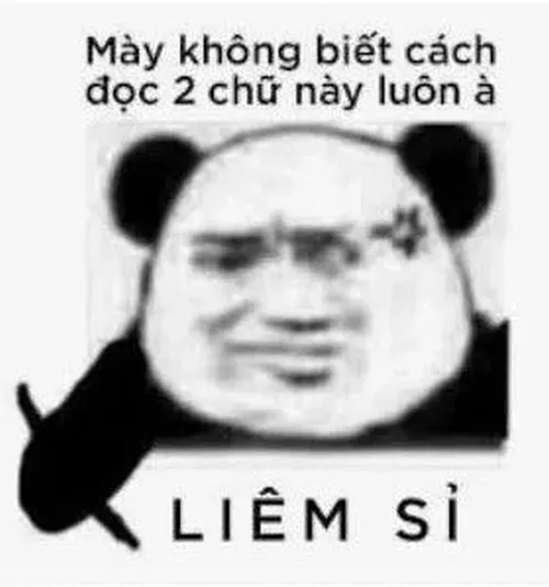 Hình chế gấu trúc mất hết liêm sỉ