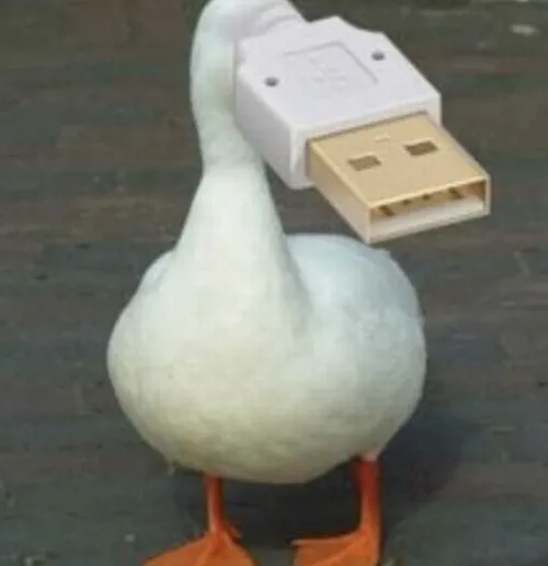 Meme hài vịt vàng bay trên mạng xã hội.