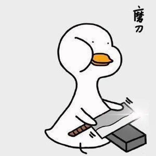 Hình chế vui vịt đang chạy siêu ngố.