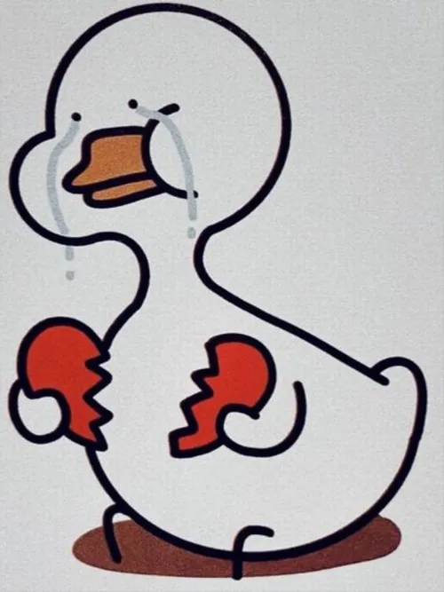 Hình troll vịt ngáo khiến ai cũng cười.