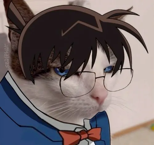 Meme Conan nhăn mặt kiểu “cạn lời luôn”