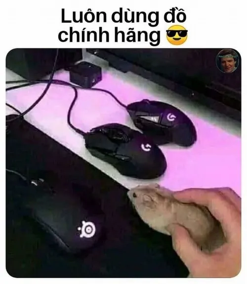 Hình chế vui dân IT than trời mỗi tối