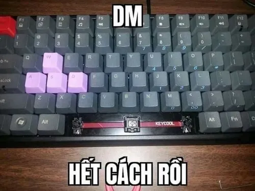 Meme hài dev mở lại code cũ mà muốn khóc