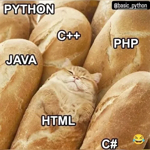 Hình troll dân công nghệ đòi nghỉ vì bug