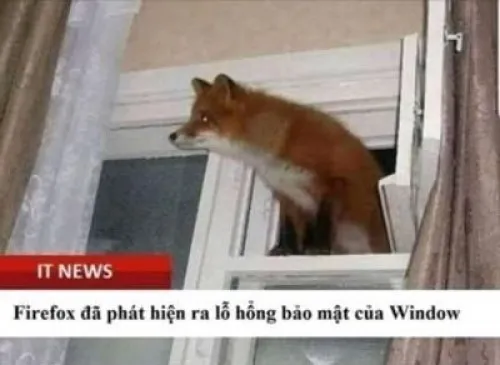 Meme chế lập trình viên chạy deadline tới sáng