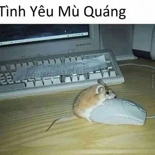 Ảnh vui anh IT lỡ tay xóa cả project