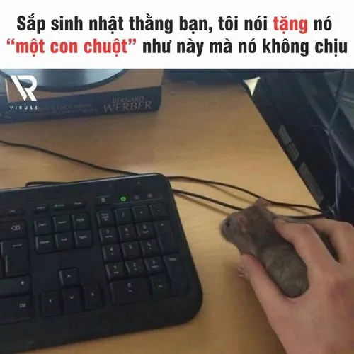 Ảnh hài dân lập trình nói “chạy rồi mà sao lỗi?”