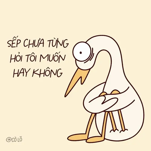 Meme hài cảnh họp online mic chưa tắt