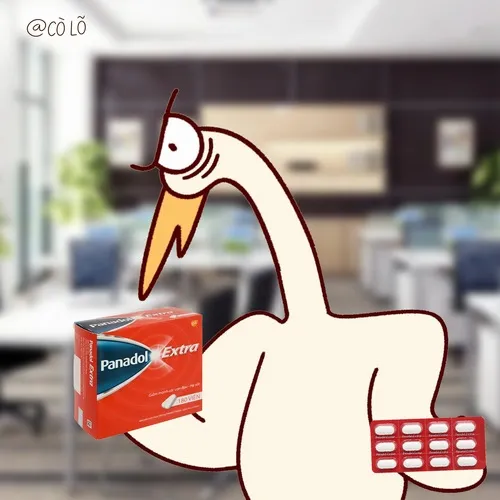 Ảnh meme cò lỏ uống Panadol