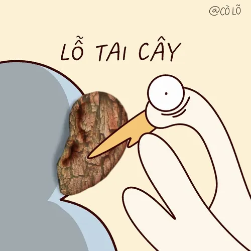 Hình troll deadline dí mà máy tính lại đơ