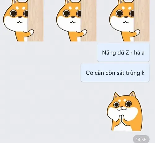 Ảnh troll đồng nghiệp “né” trực bằng lý do trời ơi