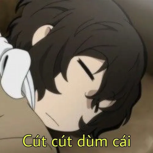 Meme cút cực hợp khi bạn hết kiên nhẫn