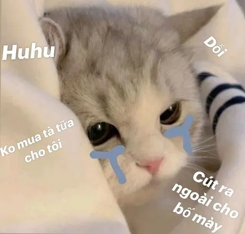 Ảnh hài kiểu biến lẹ, không nói nhiều