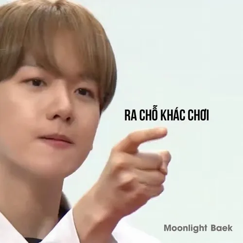 Meme cút thần thái đỉnh cao khỏi bàn