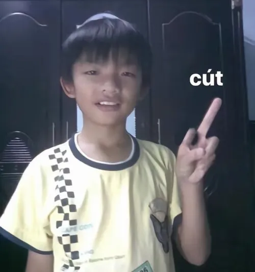 Meme cút mang năng lượng đuổi sạch drama