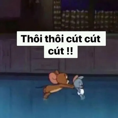 Meme cút cút cút giúp trút giận một cách hài hước