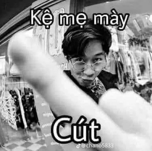 Meme cút dùng khi ai đó nói nhảm