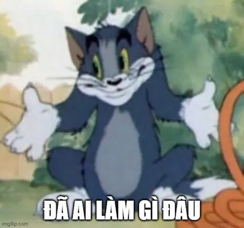 10 Mèo Tom đưa tay vì có làm gì đâu