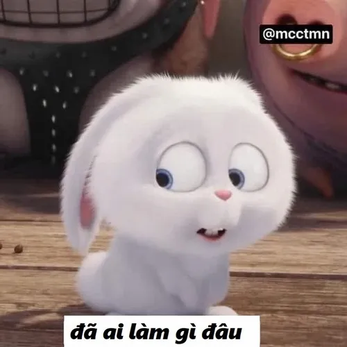 7 Hình troll kiểu “ơ tui có làm gì”.